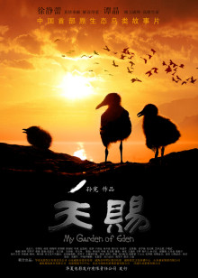 灰色的灵魂